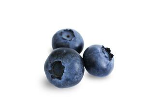 Fresh, ripe blueberries isolated on a white background photo