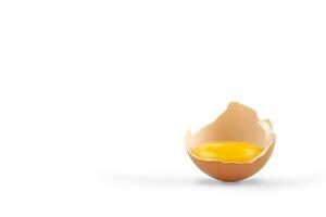 Egg yolk in the shell on a white background. Copy space. photo