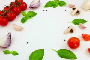 Tomatoes, mushrooms, spices and fresh herbs on a white background. Ingredients for cooking. Copy space photo