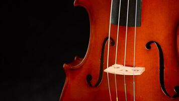 Detail of body of a violin or viola turning at black background video