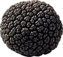 AI generated black edible winter truffle png
