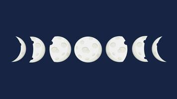 Moon phases vector cartoon