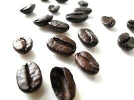 coffee beans on white background photo