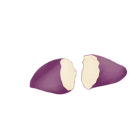 sweet potato illustration on png transparant