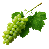 AI generated Grapes with leaves clip art png