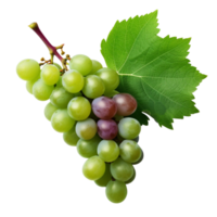 AI generated Grapes with leaves clip art png