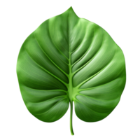 AI generated Green jungle leaf clip art png