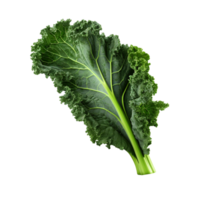 AI generated Green kale clip art png