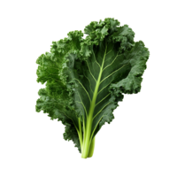 AI generated Green kale clip art png