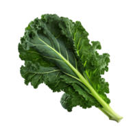 AI generated Green kale clip art png