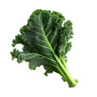 AI generated Green kale clip art png