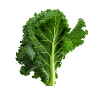 AI generated Green kale clip art png