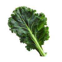 AI generated Green kale clip art png