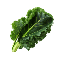 AI generated Green kale clip art png