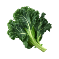 AI generated Green kale clip art png