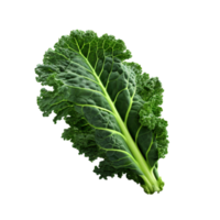 AI generated Green kale clip art png