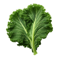 AI generated Green kale clip art png