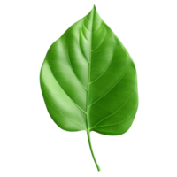 AI generated Green leaf clip art png