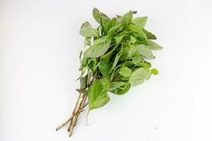 Bunch of fresh basil leaves isolated on white background. Top view. photo