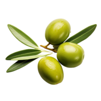 AI generated Olives with leaves clip art png