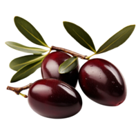 ai genererad oliver med löv klämma konst png
