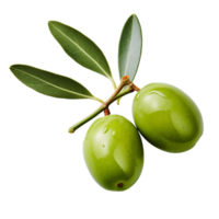 AI generated Olives with leaves clip art png