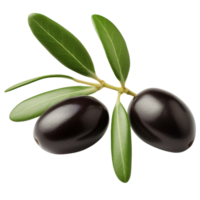 AI generated Olives with leaves clip art png