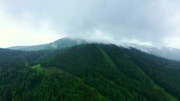 dimma omsluter de berg skog. antenn skön molnig himmel med berg se. grön bergen av ukrainska karpater i sommar. video