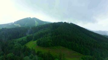 Mountain ridges with forests and mountain meadows against the cloudy sky in the Carpathian Mountains, view in spring overcast morning while panning video