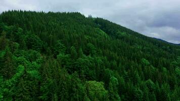 suíço natureza cenário. Kandersteg Vila com deslumbrante vale cercado de Alto Alpes montanhas. popular turista esqui recorrer, zangão aéreo visualizar. video