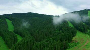 montagna creste con foreste e montagna prati contro il nuvoloso cielo nel il carpazi montagne, Visualizza nel primavera nuvoloso mattina mentre panning video