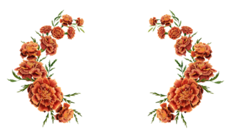 ringblomma blommor med grön löv arrangemang design element. hand dragen vattenfärg illustration isolerat på transparent bakgrund. ram för kort, inbjudningar, logotyper, utskrift, dekorationer. png