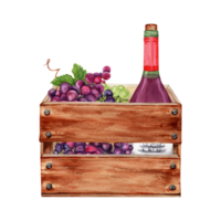 Wine making and grape harvest composition. Bottle of red wine in a wooden crate. Hand drawn watercolor illustration isolated element. Card, printing, textile, fabric, wrapping paper design png