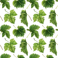 Seamless pattern with green grape leaves. Botanical plant nature design element. Hand drawn watercolor illustration isolated on transparent background. Card, textile, fabric, wrapping paper design. png