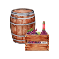 Wine barrel, wooden crate with bunches of grapes and a bottle of red wine. Watercolor illustration isolated on transparent background. Hand drawn design element for cards, menu, invitations png