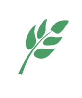 a green leaf icon on a transparent background png