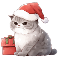 ai generado gris gato vistiendo un rojo Papa Noel sombrero en Navidad fiesta png