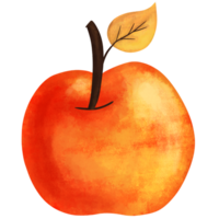red orange apple autumn season paint draw watercolor design png