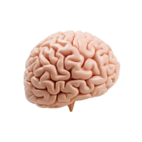 AI generated 3d human brain isolated on transparent background PNG image