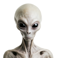 AI generated alien on transparent background PNG image