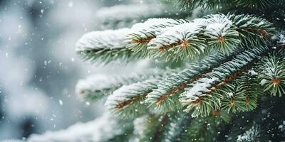 cerca arriba antecedentes de abeto verde ramas con nieve. Navidad o invierno bandera. ai generativo foto