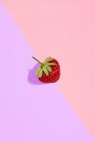 Fresh red strawberry isolated on pink-purple background photo