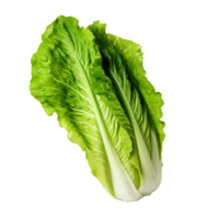 ai généré romaine salade agrafe art png