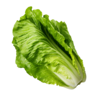 ai generado lechuga romana lechuga acortar Arte png