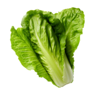 ai generiert Romaine Grüner Salat Clip Kunst png