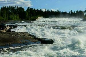 a river with rapids and trees in the background photo