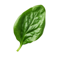 AI generated Spinach leaf clip art png