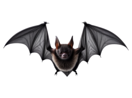 ai generato nero pipistrello isolato su trasparente sfondo png
