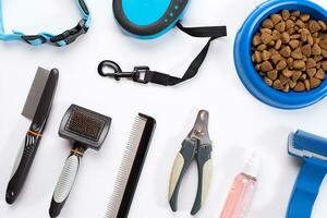 Collar, blue bowl with feed, leash, delicacy, combs and brushes for dogs. Isolated on white background photo