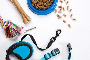 Collar, blue bowl with feed, leash and delicacy for dogs. Isolated on white background photo